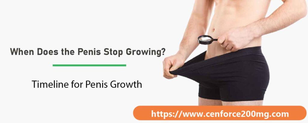 When Does the Penis Stop Growing?